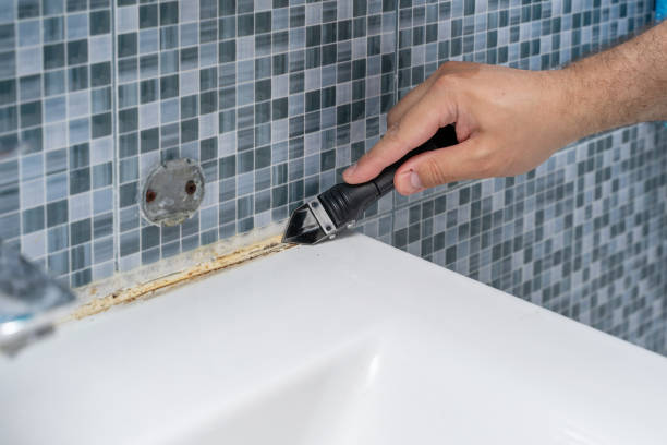 Best Professional Mold Removal  in Hemphill, TX